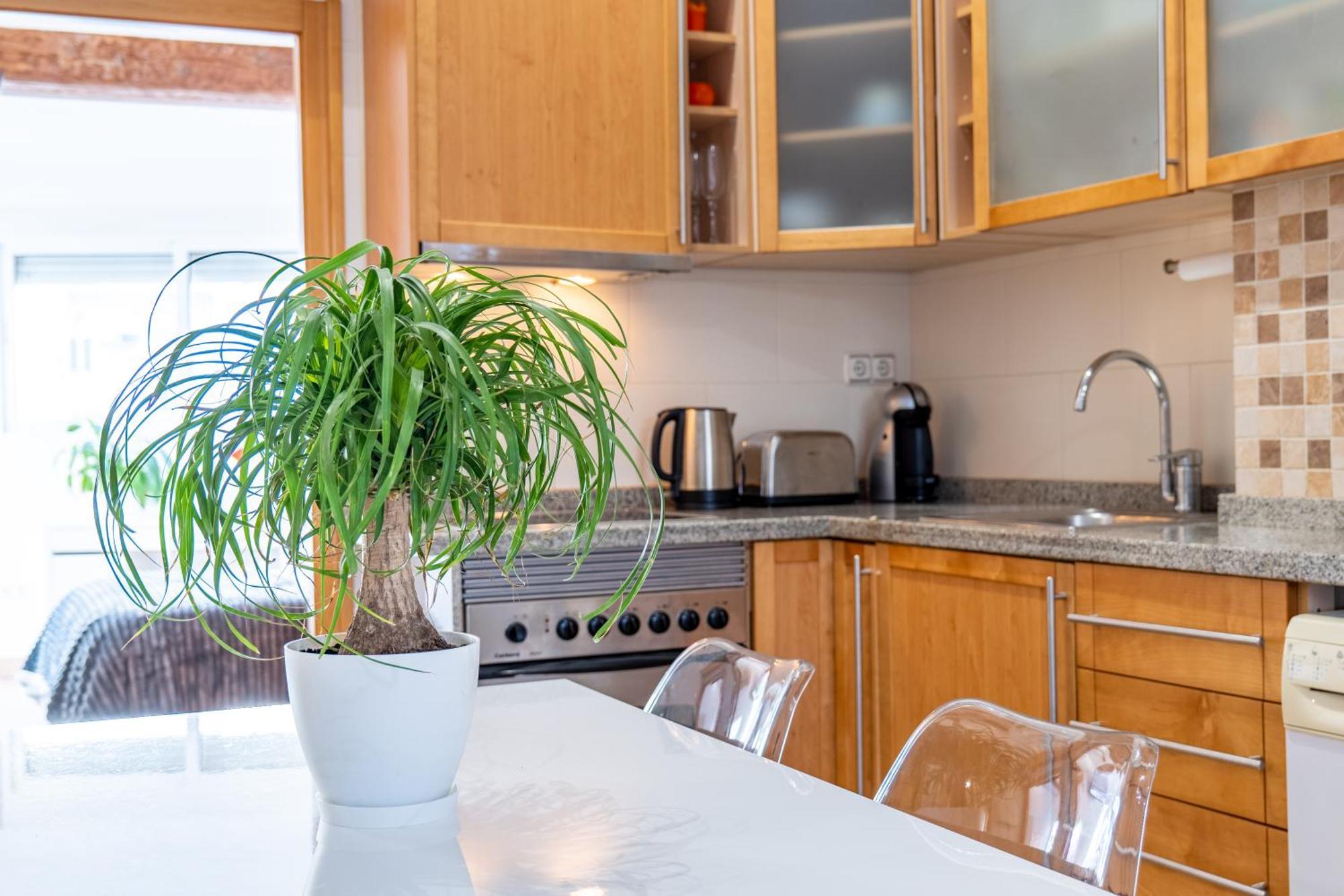 Apartmán Atico Ruzafa Valencia Centro Exteriér fotografie